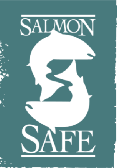 Thermally broken cladding attachment ISO Clips can be used for Salmon-Safe Projects.